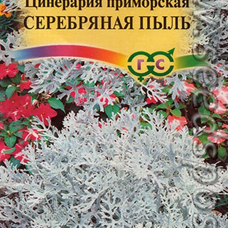 Цинерария приморская Серебряная пыль, белая, 15см, 0,1 г