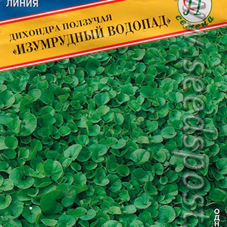 Дихондра Изумрудный водопад, 5 мультидраже