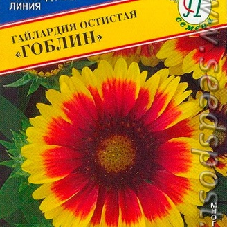 Гайлардия остистая Гоблин, 10 шт. Голландская линия