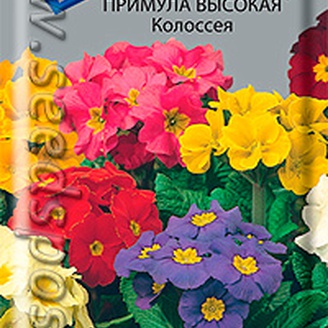 Примула высокая Колоссея, 0,05 г