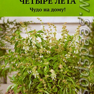 Базилик овощной Свежесть, 0,1 г Четыре лета