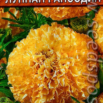 Бархатцы Лунная рапсодия, 0,3 г