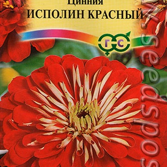 Цинния изящная Исполин Красный, 0,3 г