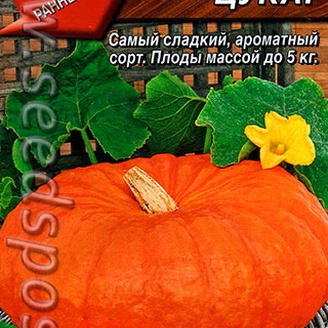 Тыква крупноплодная Цукат, 1 г