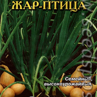 Лук шалот Жар-Птица, 0,1 г