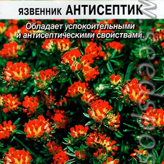 Язвенник Антисептик, ЦВ, 0,5 г Лечебный огород