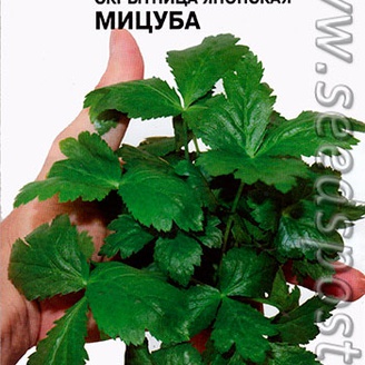 Скрытница японская Мицуба, 0,5 г