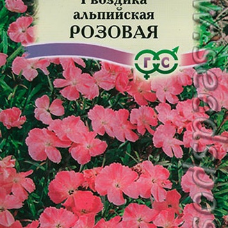 Гвоздика альпийская Розовая, 0,1  г