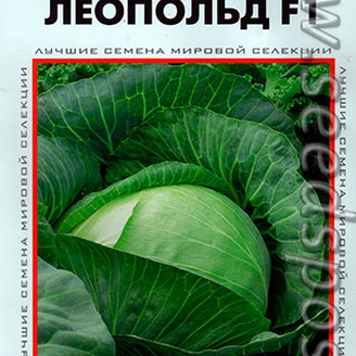 Капуста белокочанная Леопольд F1, 12 шт. Профессиональные семена