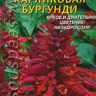 Сальвия Карликовая Бургунди, 0,05 г