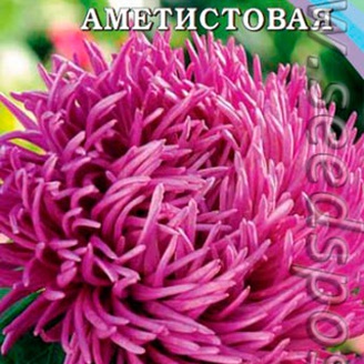 Астра Жемчужина Аметистовая, 0,2 г