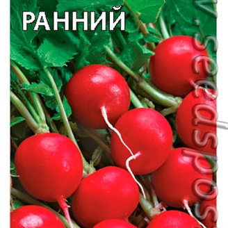 Редис Урожайный ранний, 3 г