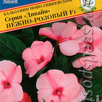 Бальзамин ново-гвинейский Дивайн Нежно-розовый F1, 5 шт.