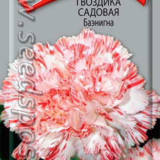 Гвоздика садовая Баэнигна, 0,1 г