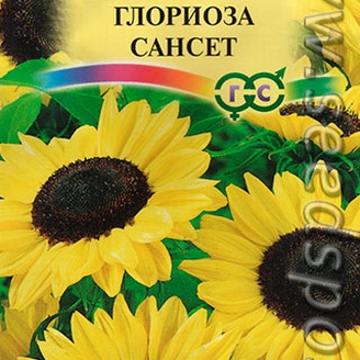 Подсолнечник Глориоза Сансет, 0,5 г