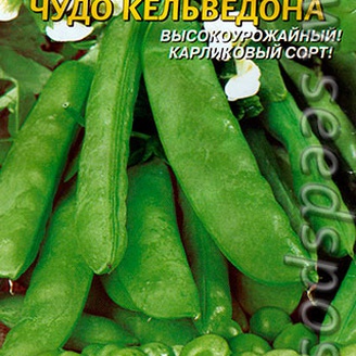 Горох Чудо Кельведона, 9 г