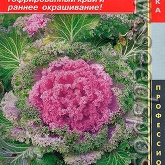 Капуста декоративная Камом Пинк F1, 5 шт. Профессиональная коллекция