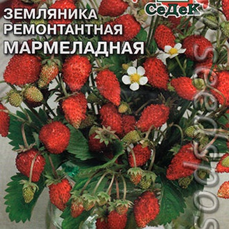 Земляника Мармеладная, 0,04 г