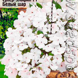 Бальзамин Супер Эльфин Белый шар F1, 10 шт. PanAmerican Seeds Ампельные Шедевры