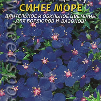 Анагаллис (очный цвет) Синее море, 0,05 г