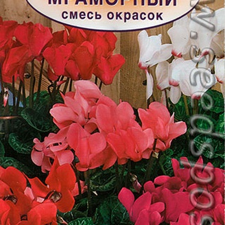 Цикламен крупноцветковый Мраморный, Смесь, 0,05 г