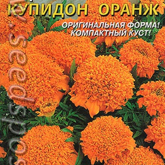 Бархатцы Купидон Оранж, 20 шт.