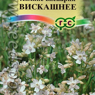 Лихнис вискария Вискашнее, 0,1 г 