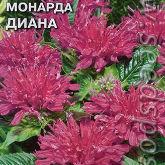 Монарда лимонная Диана, 0,2 г