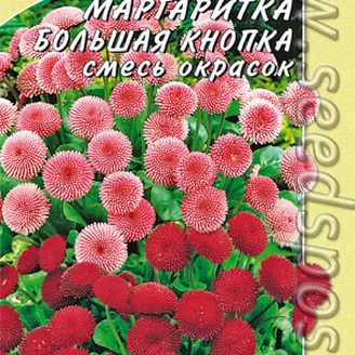 Маргаритка Большая кнопка, Смесь,15см, двух, 0,05 г 