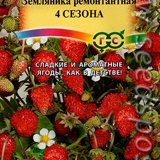 Земляника ремонтантная 4 сезона, 0,03 г