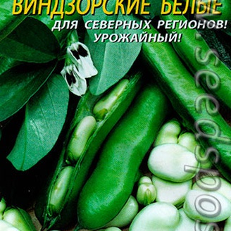 Бобы Виндзорские белые, 10 г