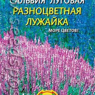 Сальвия луговая Разноцветная лужайка, 0,1 г