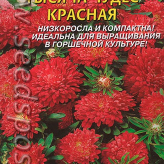 Астра карликовая Тысяча чудес Красная, 0,2 г