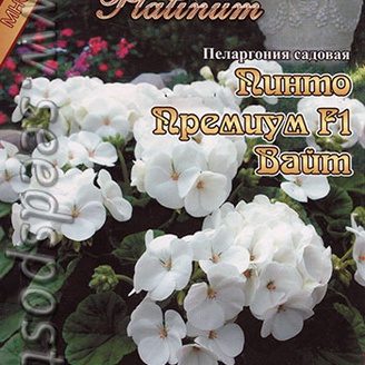 Пеларгония садовая Пинто Премиум Вайт F1, 5 шт. Platinum 