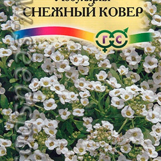 Лобулярия Снежный ковер Морская, 0,2 г Сад ароматов