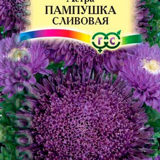 Астра Пампушка Сливовая, 0,3 г