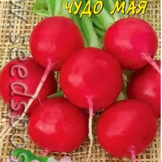 Редис Чудо мая, 1 г