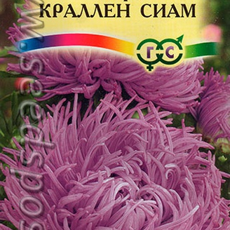 Астра Краллен Сиам, 0,3 г