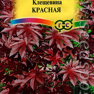 Клещевина Красная, 5 шт.