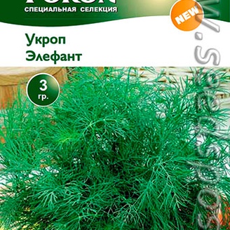 Укроп Элефант, 3 г