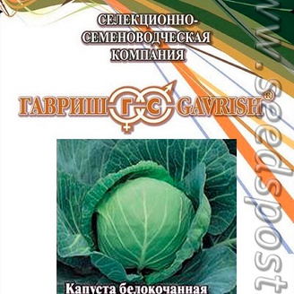 Капуста белокочанная Валентина, 25 г Профессиональная упаковка