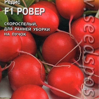 Редис Ровер F1, 0,5 г  (Bejo Zaden)