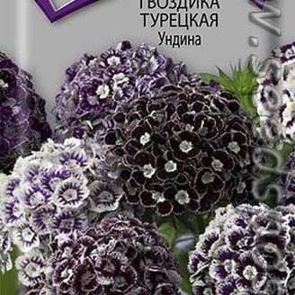 Гвоздика турецкая Ундина, Смесь, 15 шт.