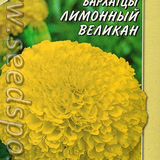 Бархатцы Лимонный великан, 0,1 г