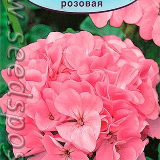 Пеларгония Магия лета Розовая F2, одн, 5 шт.
