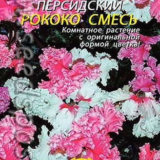 Цикламен персидский Рококо, Смесь, 3 шт. (ПС)