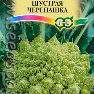 Капуста декоративная Шустрая черепашка, 0,2 г