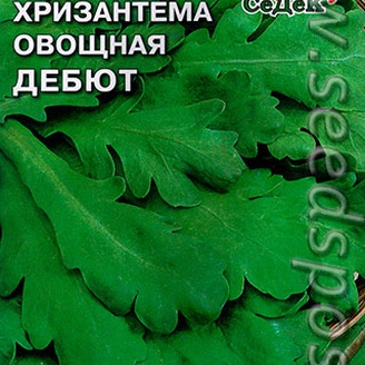 Хризантема овощная Дебют, 0,5 г
