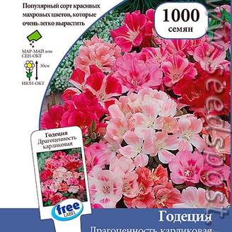 Годеция Драгоценность Карликовая, Смесь, 1000 шт.