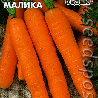 Морковь Малика, 1 г